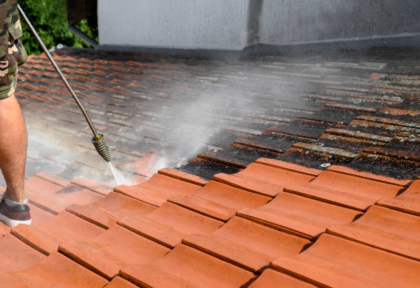 Best Deck Cleaning Services  in Iowa Colony, TX