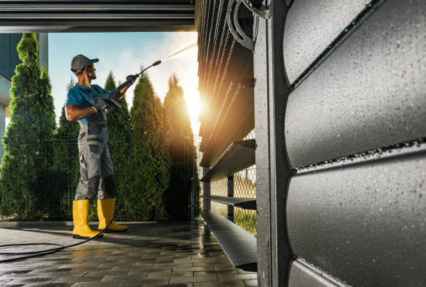 Best Roof Pressure Washing  in Iowa Colony, TX