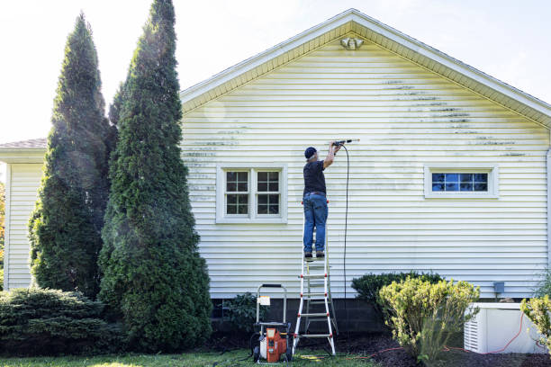 Best Residential Pressure Washing Services  in Iowa Colony, TX