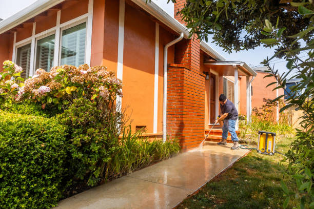 Best Commercial Building Pressure Washing  in Iowa Colony, TX