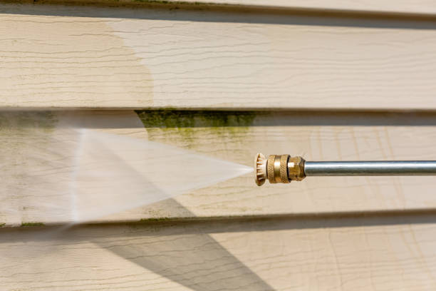 Best Best Pressure Washing Companies  in Iowa Colony, TX