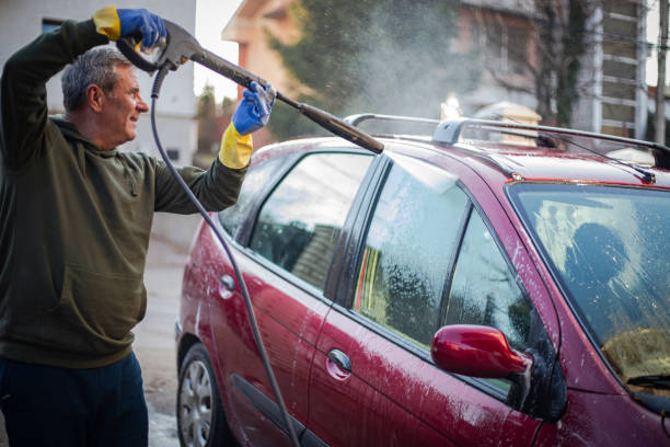 Best House Pressure Washing  in Iowa Colony, TX