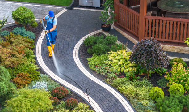 Best Affordable Pressure Washing  in Iowa Colony, TX